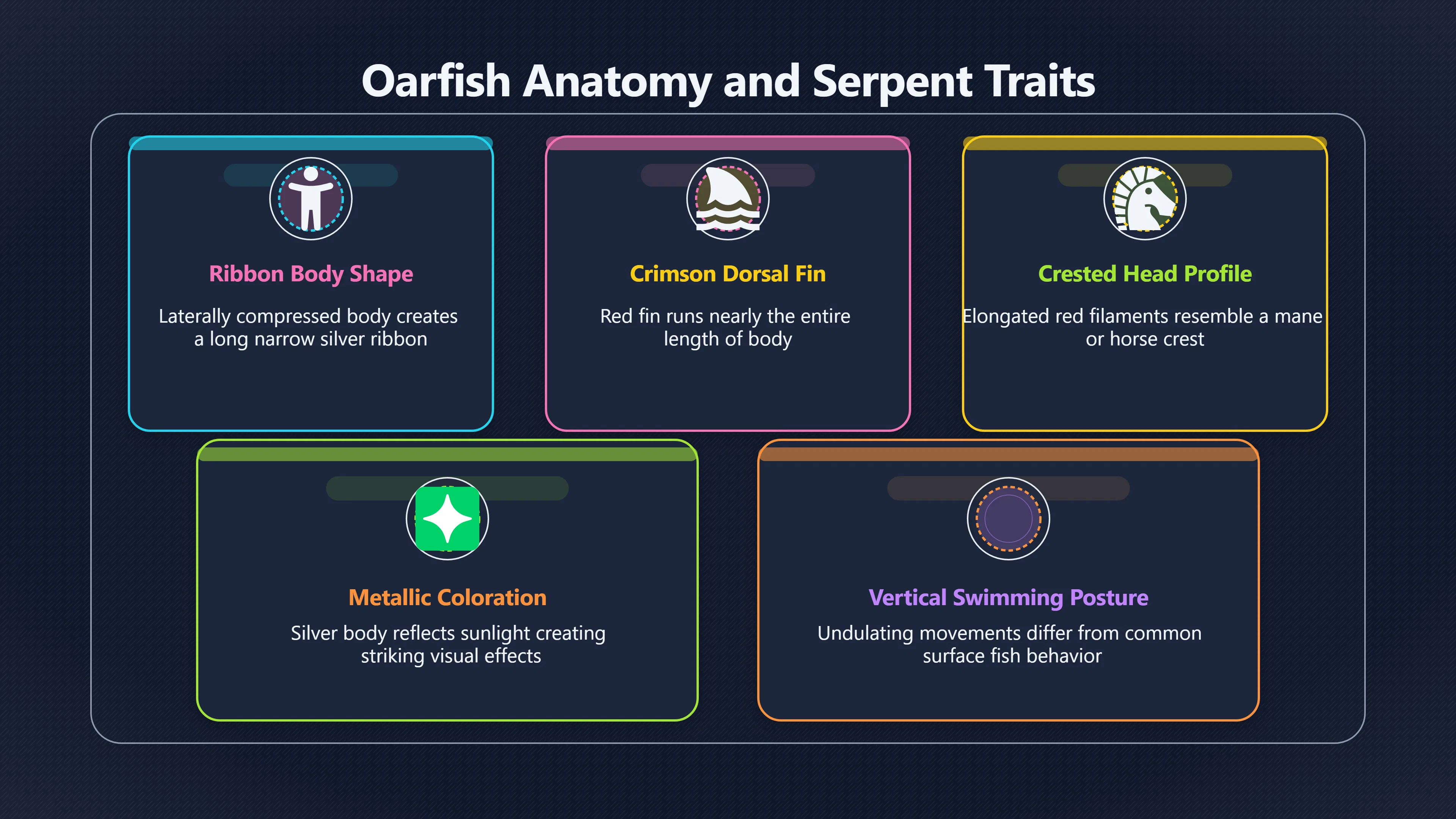 Overview image for The Real Fish Behind Sea Serpent Stories