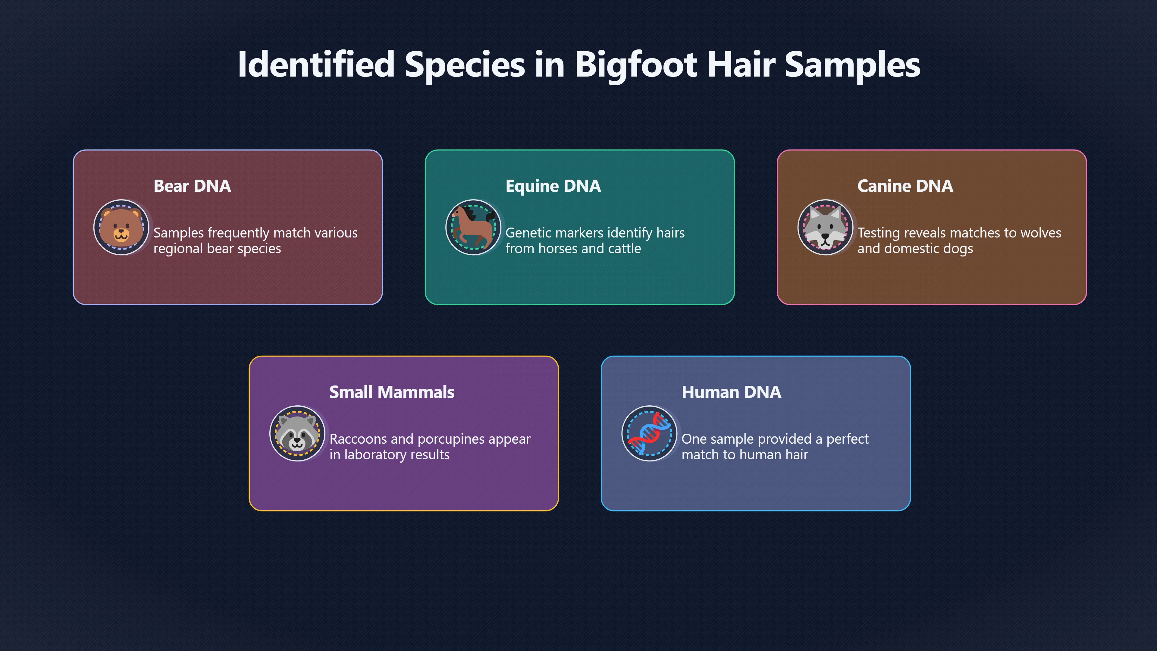 Overview image for What Bigfoot DNA Tests Have Really Found