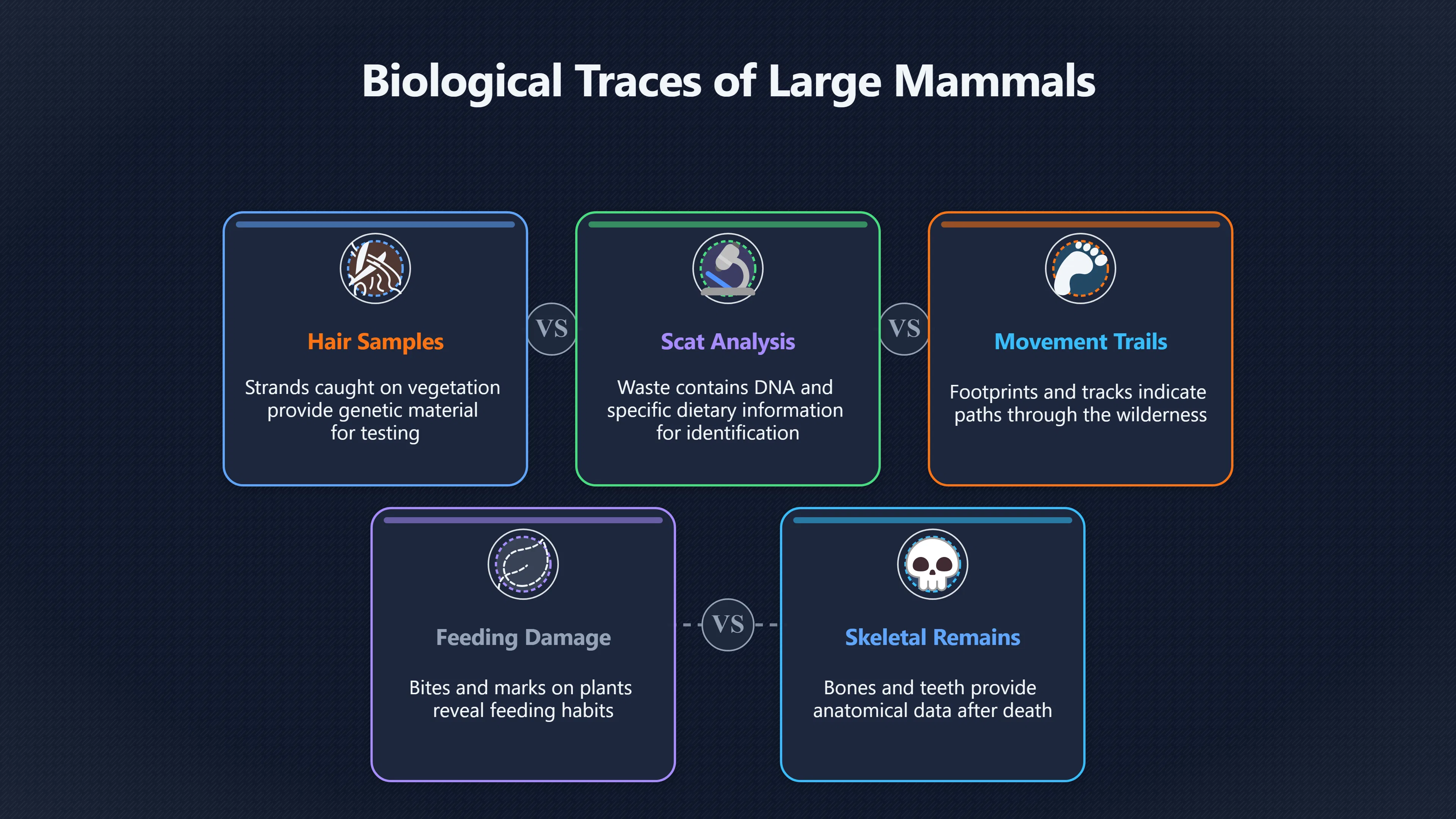 Overview image for Why One Bigfoot Would Never Be Enough