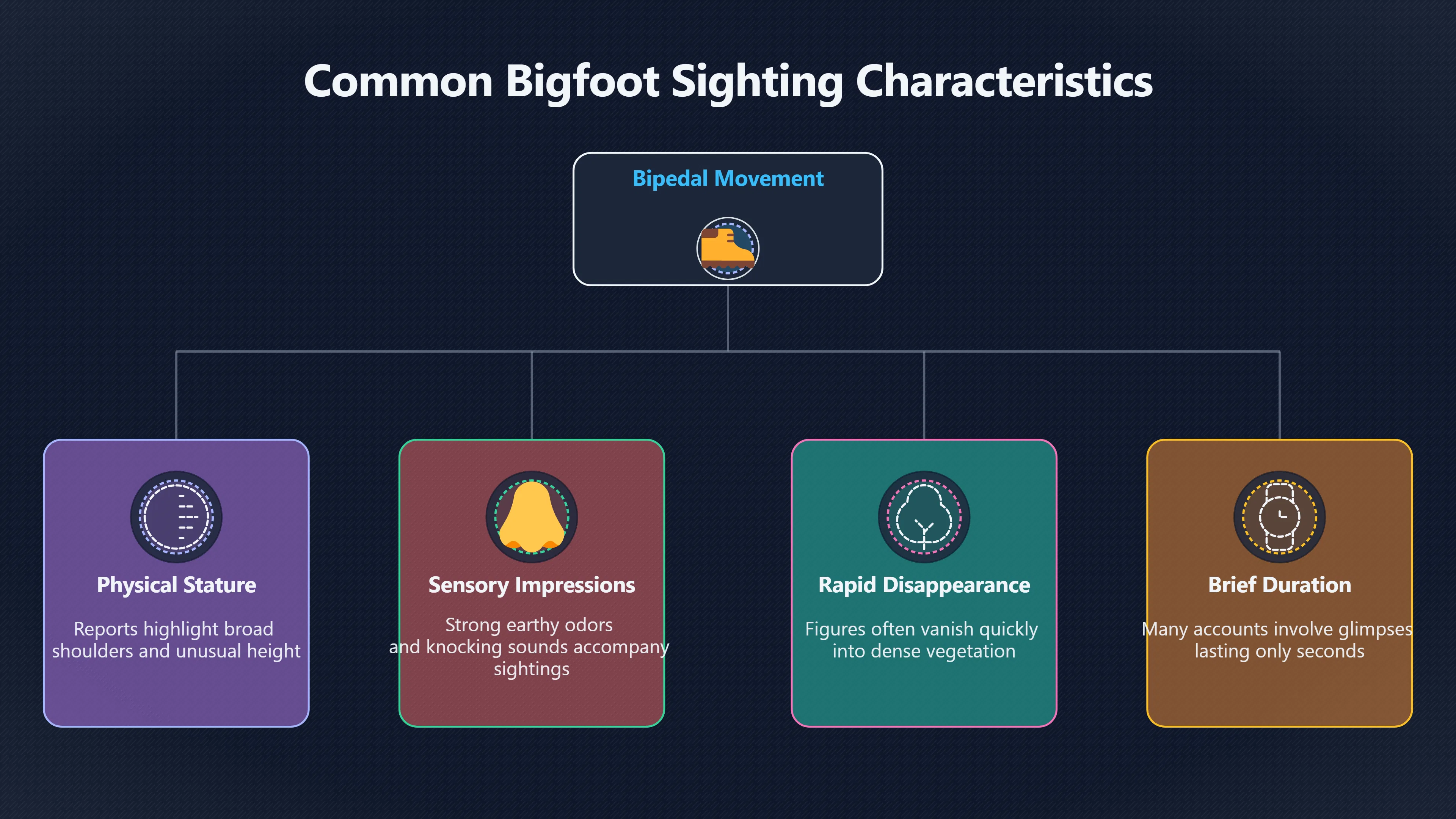 Overview image for Why Sincere Bigfoot Sightings Still Fall Short