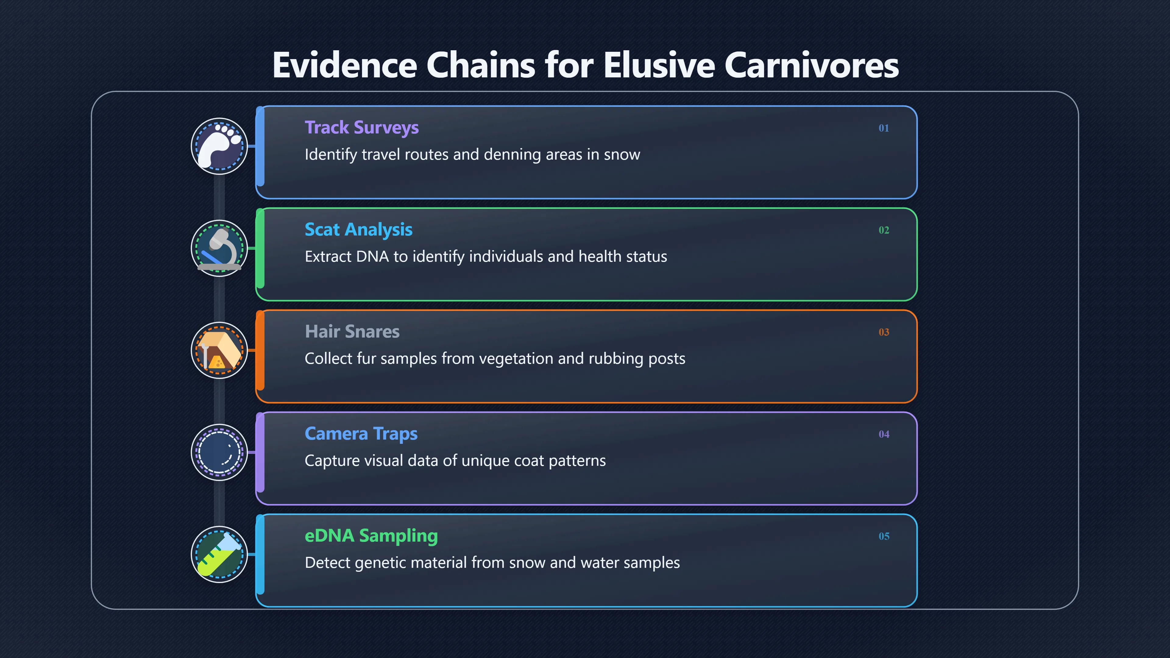Overview image for Elusive Does Not Mean Evidence Free