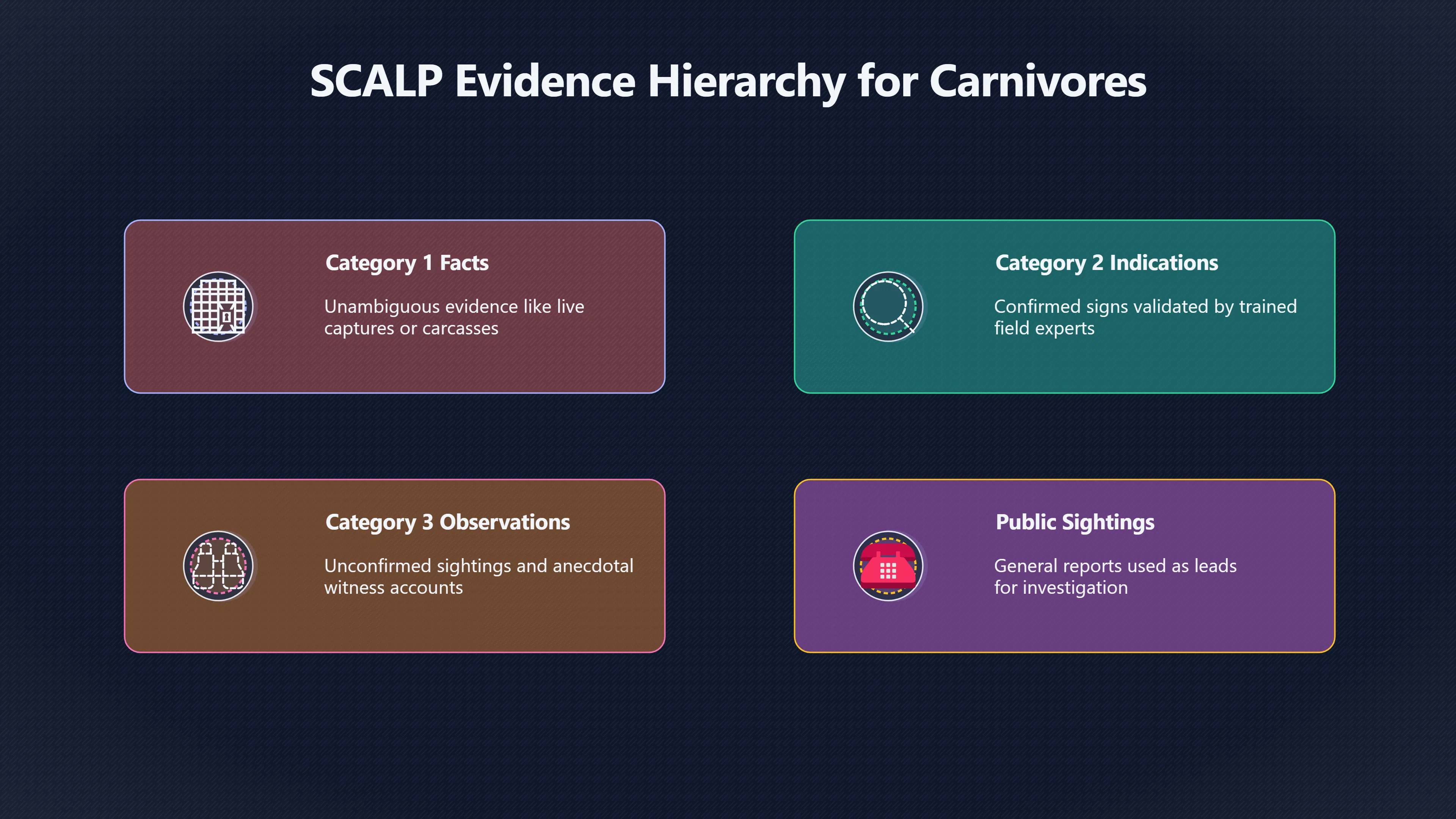 Overview image for What Counts as Hard Evidence for Hidden Animals?