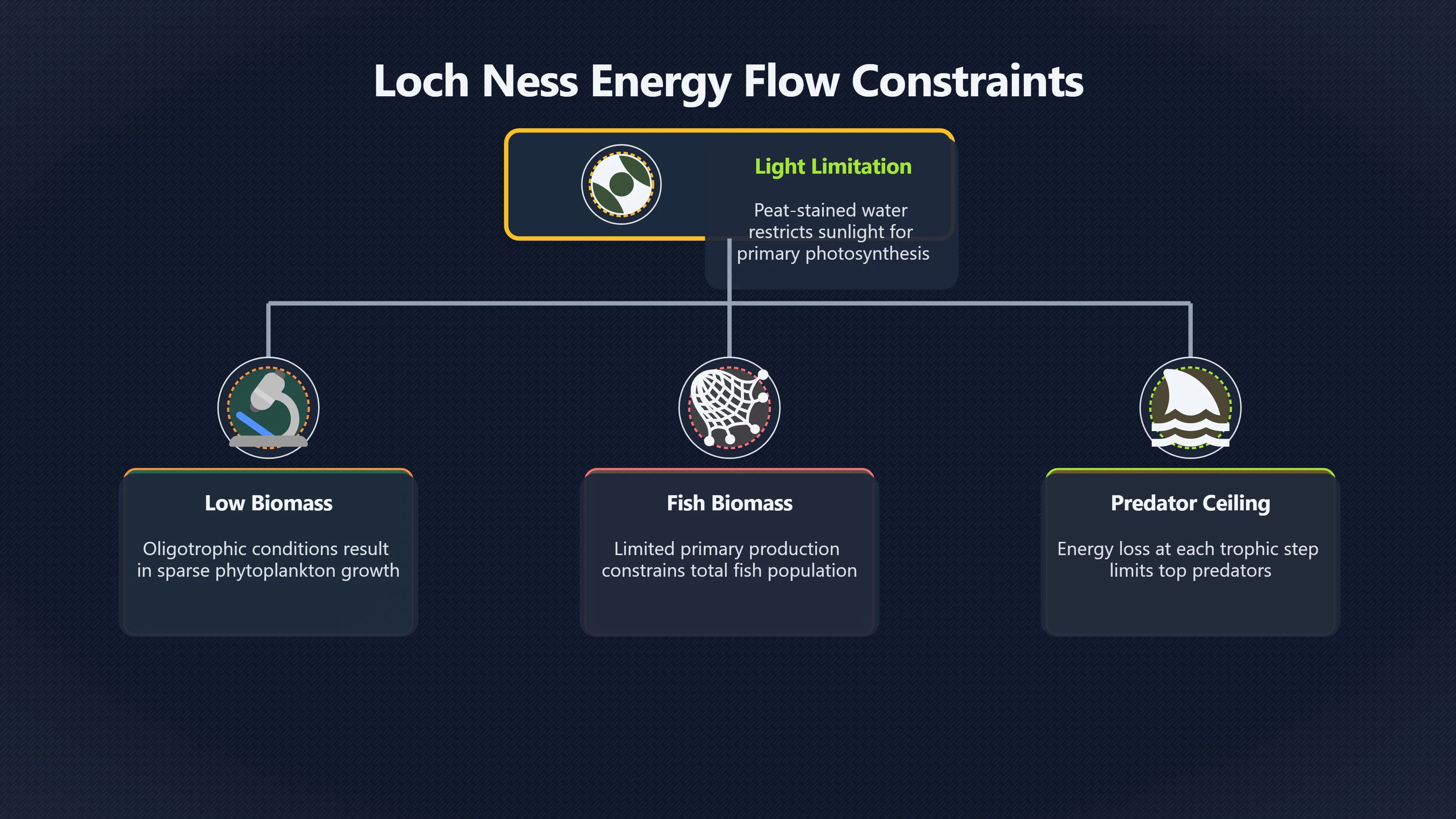 Overview image for Could Loch Ness Feed a Monster Population?