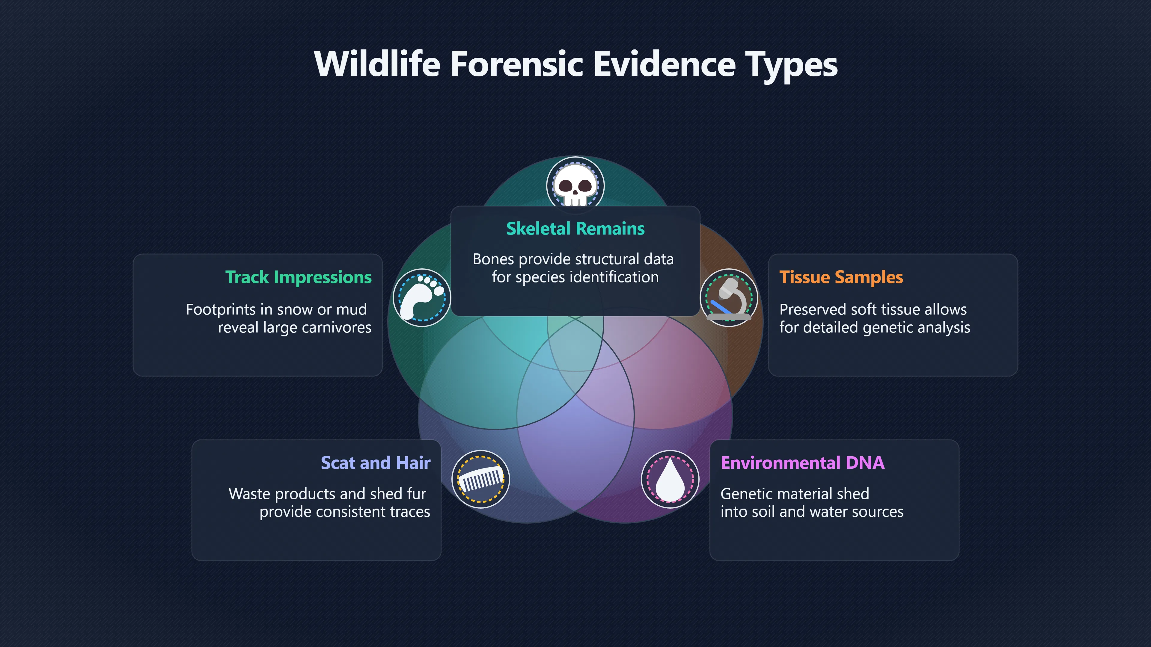 Overview image for Why Has Nobody Found a Body?