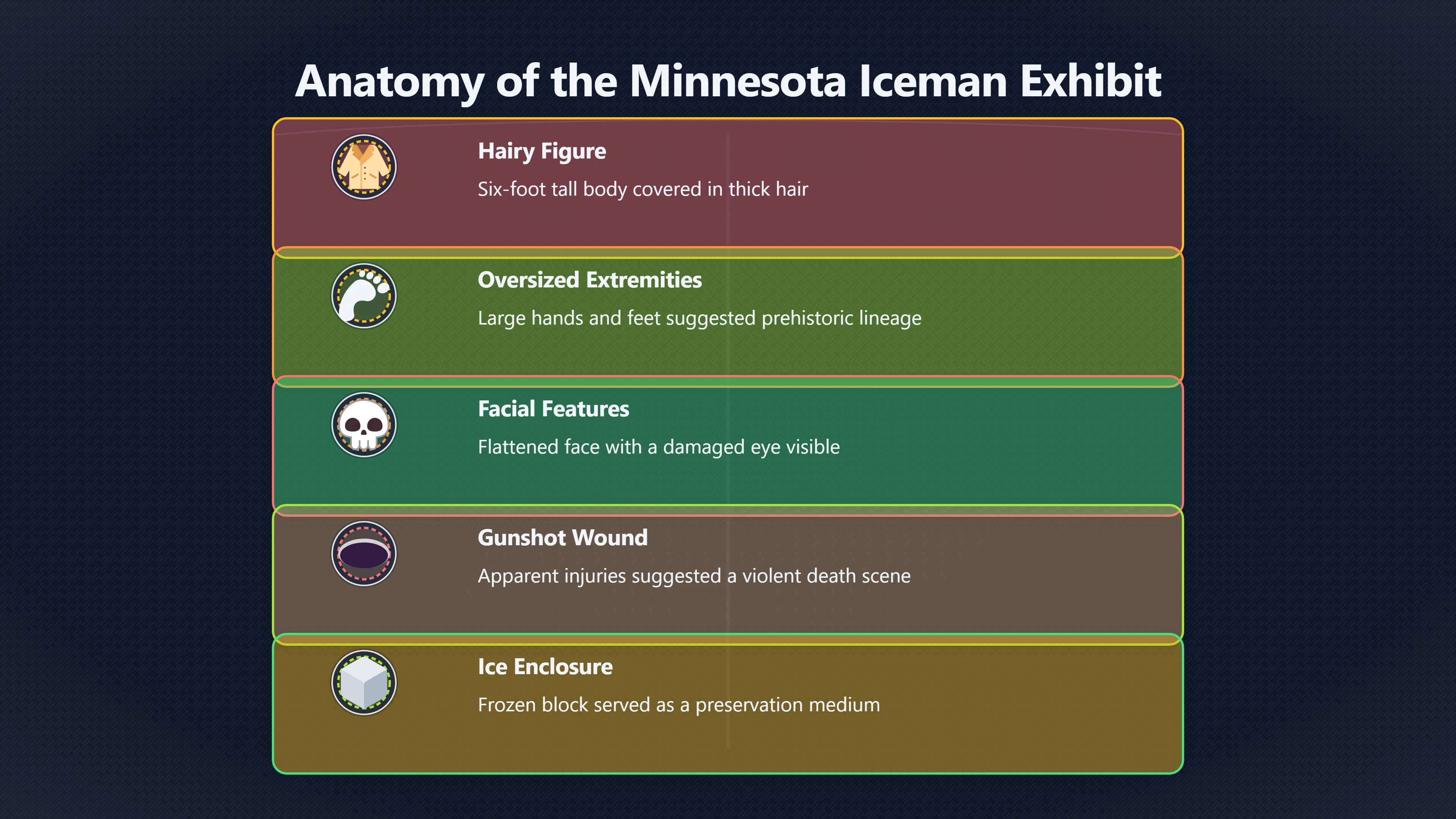 Overview image for The Frozen Body That Kept Changing Stories
