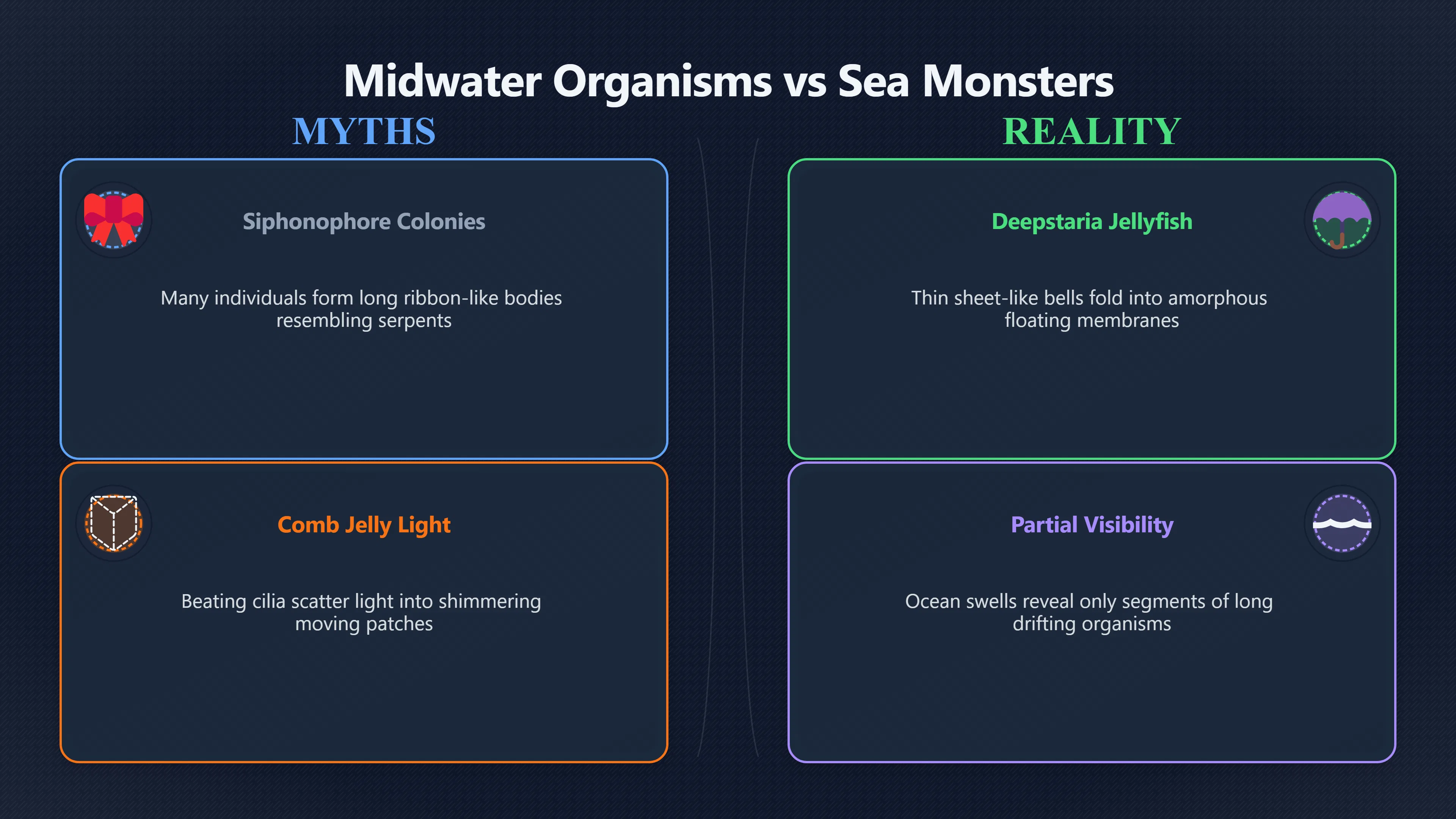 Overview image for When Real Drifters Look Like Monsters