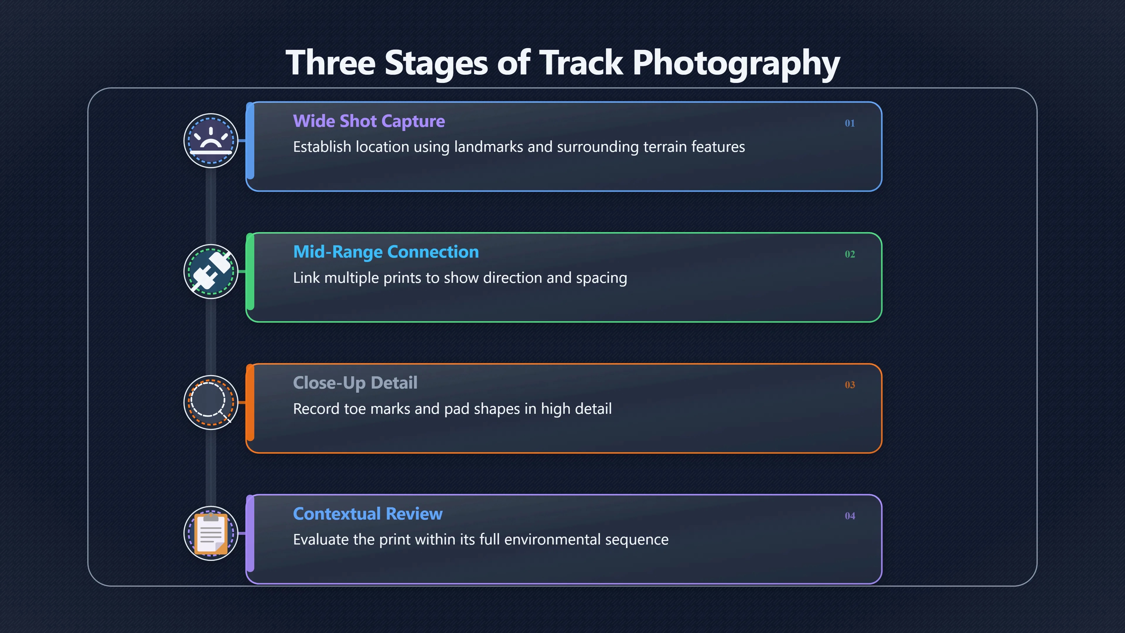 Overview image for How to photograph a mystery track