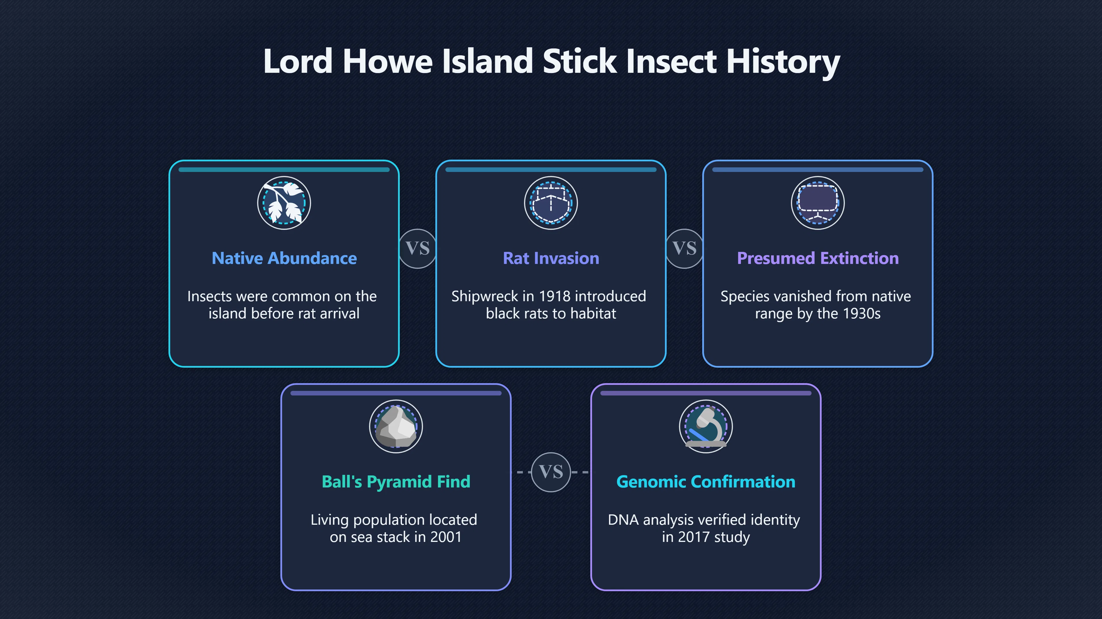 Overview image for The Insect That Needed DNA to Return