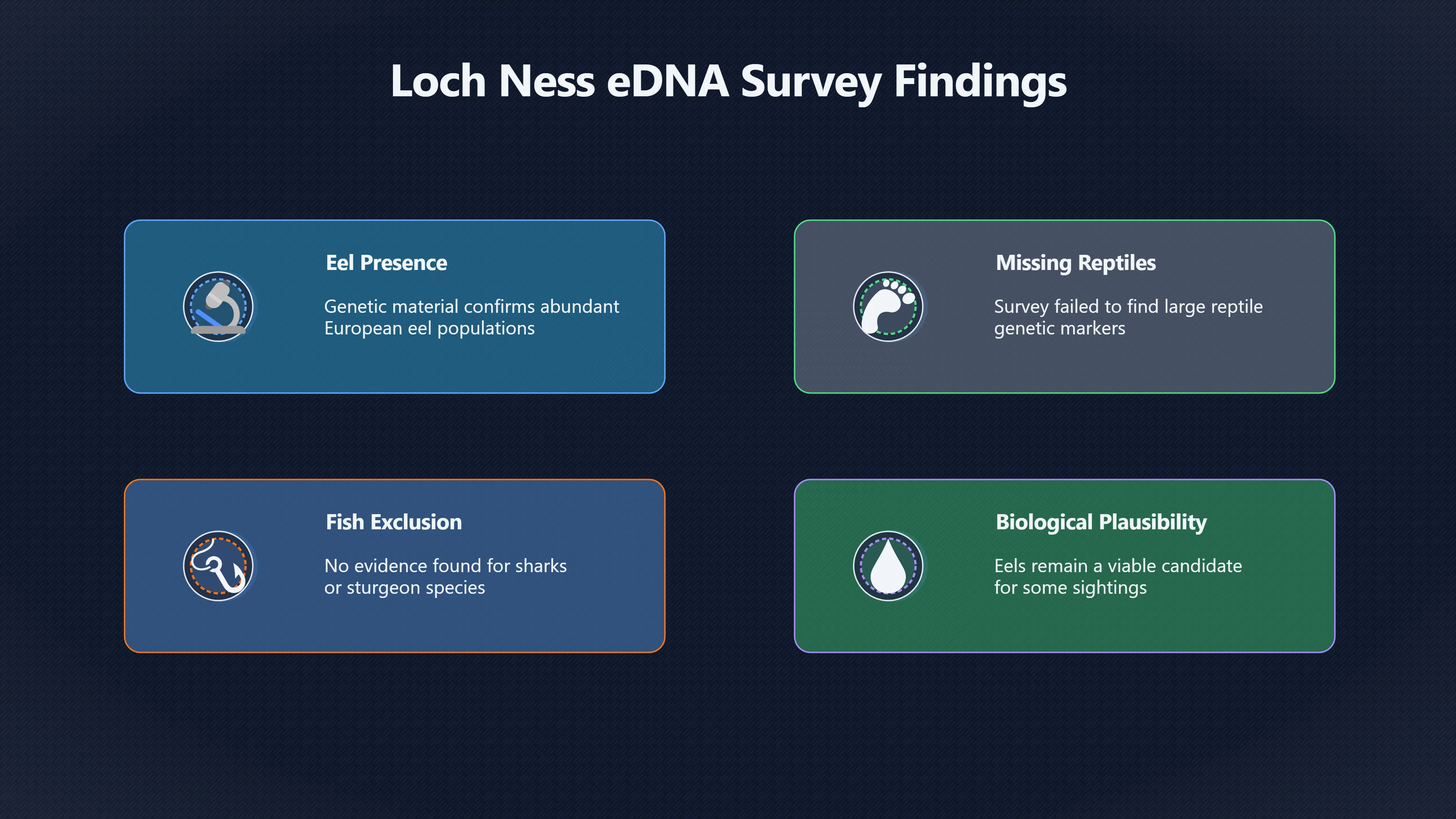 Overview image for How Big Could a Loch Ness Eel Get?
