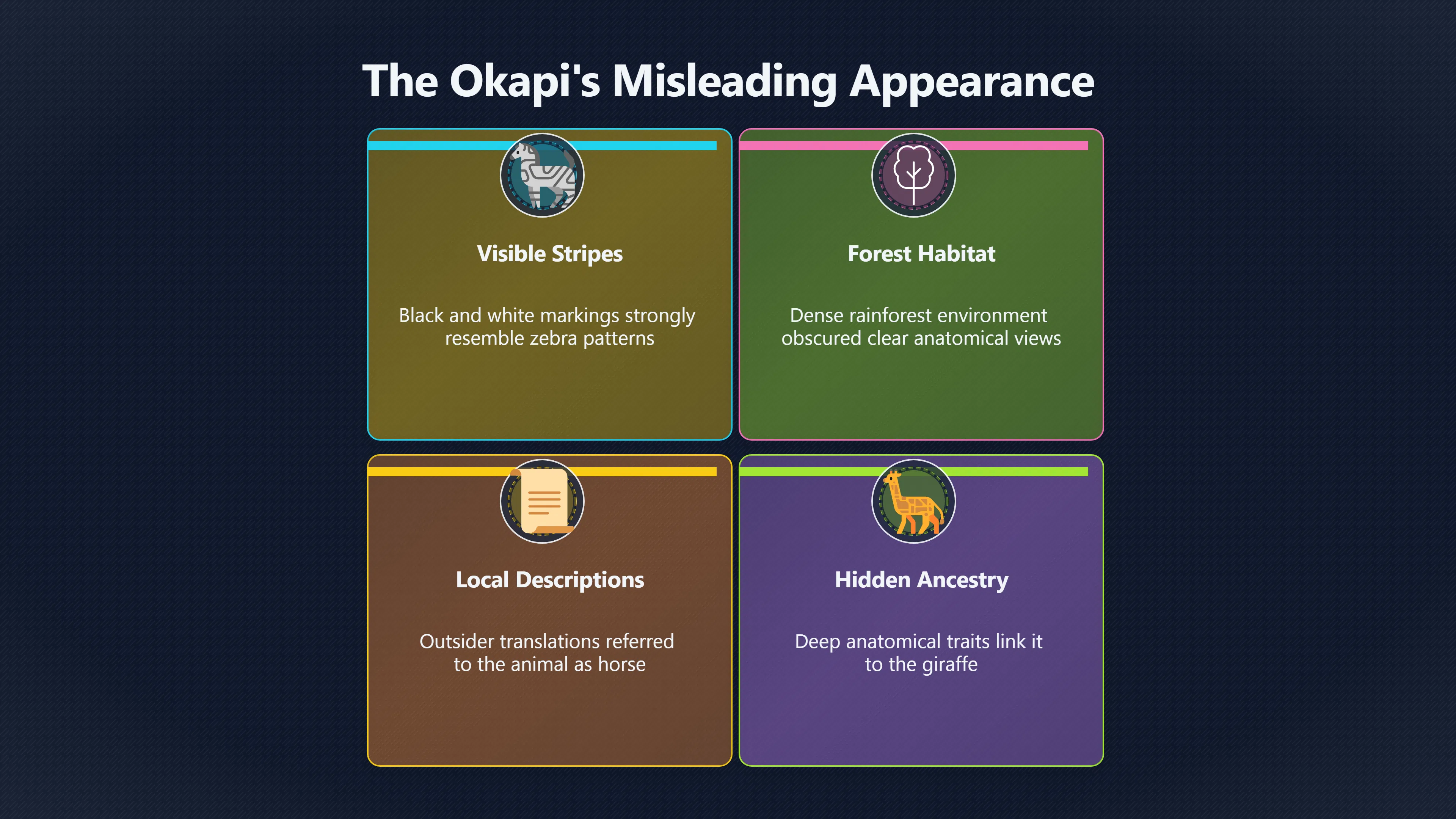 Overview image for Why the Okapi Was First Misclassified