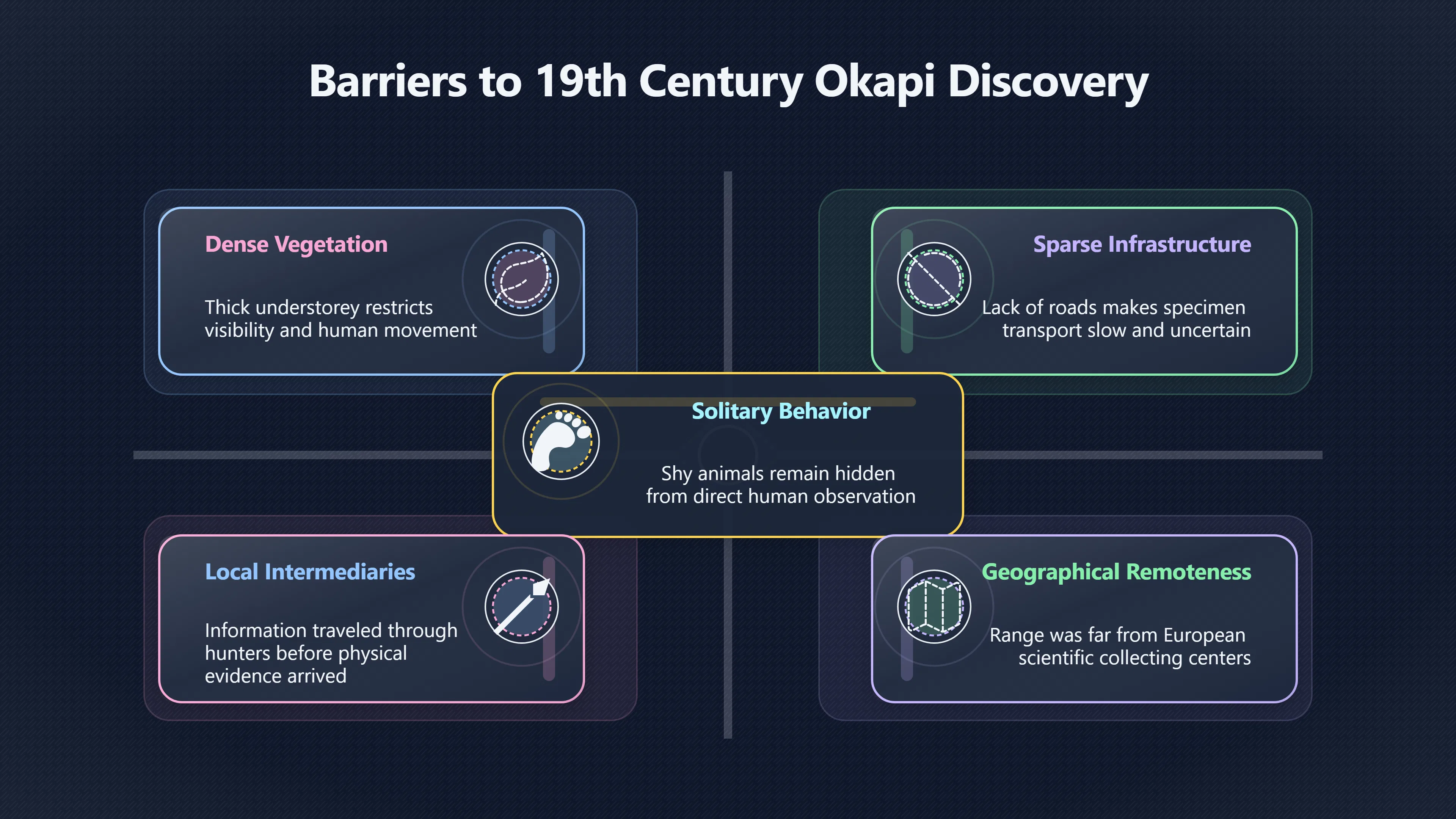 Overview image for Why the Okapi Could Stay Hidden