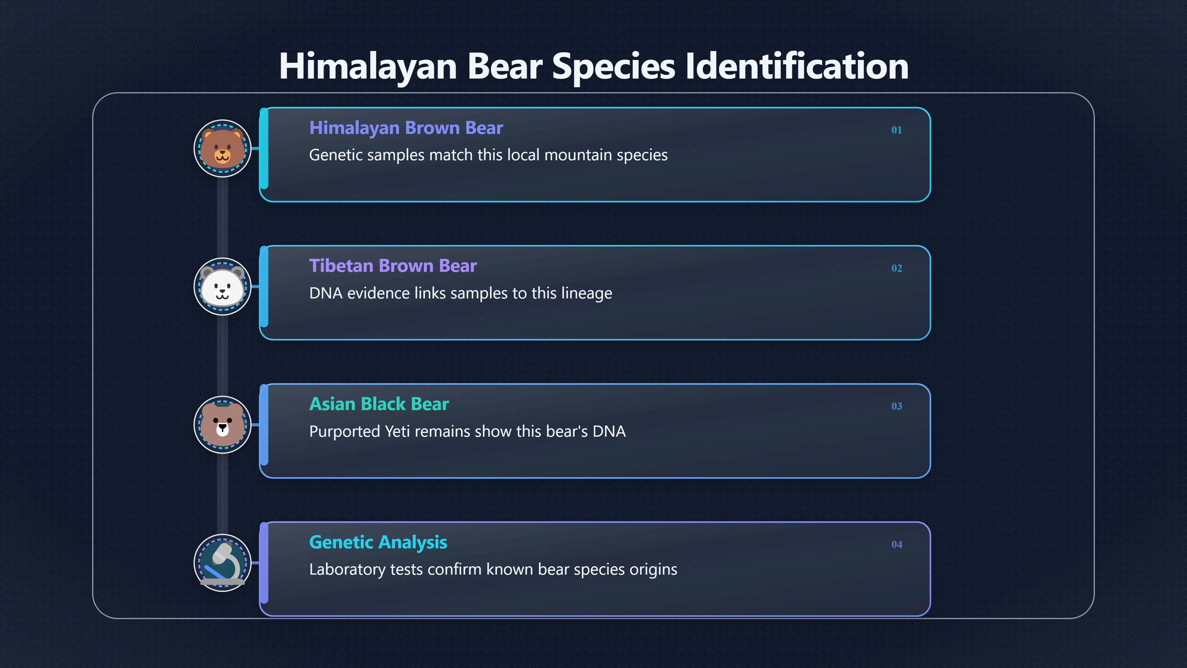Overview image for Why a bear can look like a Yeti