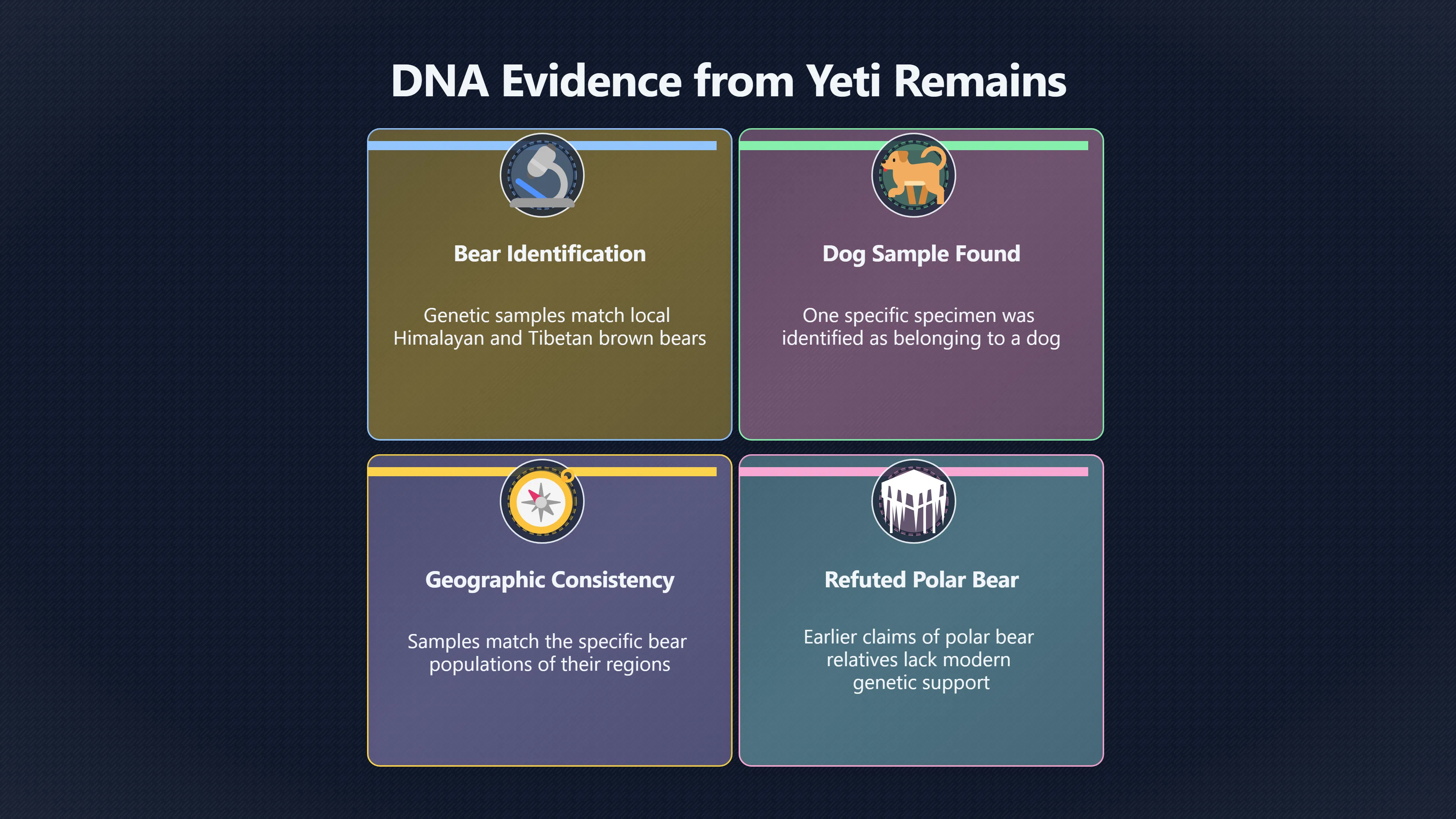 Overview image for Could rare brown bears explain Yeti sightings?
