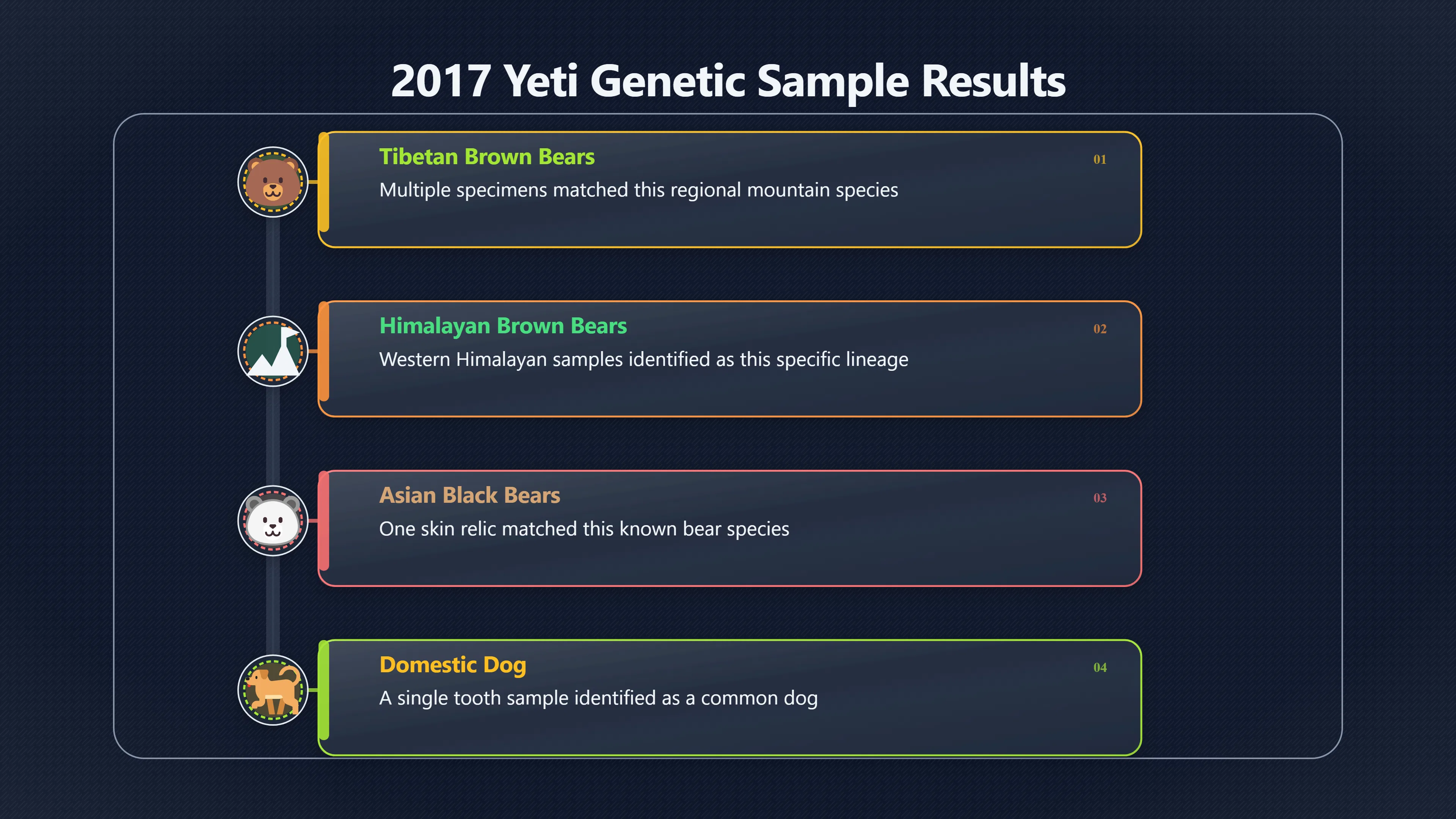Overview image for The study that put bears at the center