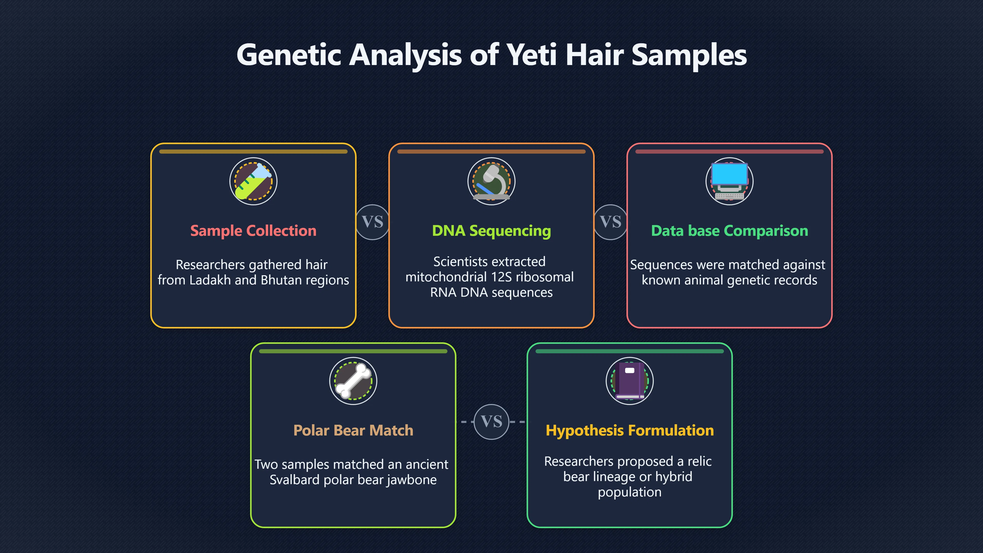 Overview image for Why two Yeti hairs pointed to bears