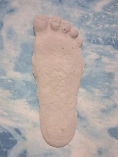 Listing image for Bıgfoot print Tıtmus Plaster Cast Handmade Sasquatch track