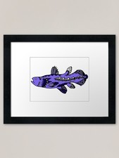 Listing image for Blue Tribal Coelacanth Framed Art P Framed Wall Art Poster Canvas Print Picture