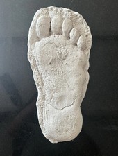 Listing image for Bigfoot Cast track replica Grays Harbor Footprint