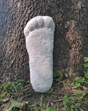 Listing image for Bigfoot Plaster Cast Large Footprint Patterson site