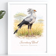 Listing image for A4 Rare Watercolour Wildlife Bird Print Natural History Wall Art Ornithologist