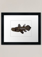 Listing image for Brown Tribal Coelacanth Framed Art Framed Wall Art Poster Canvas Print Picture
