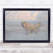 Listing image for Winter still life Arctic Fox nature wildlife Wall Art Print