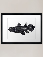 Listing image for Charcoal Tribal Coelacanth Framed A Framed Wall Art Poster Canvas Print Picture