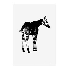Listing image for 'Okapi' Wall Art Poster Print - Unframed Artwork for Home Decor (PP016003)